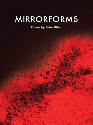 cover image of Mirrorforms